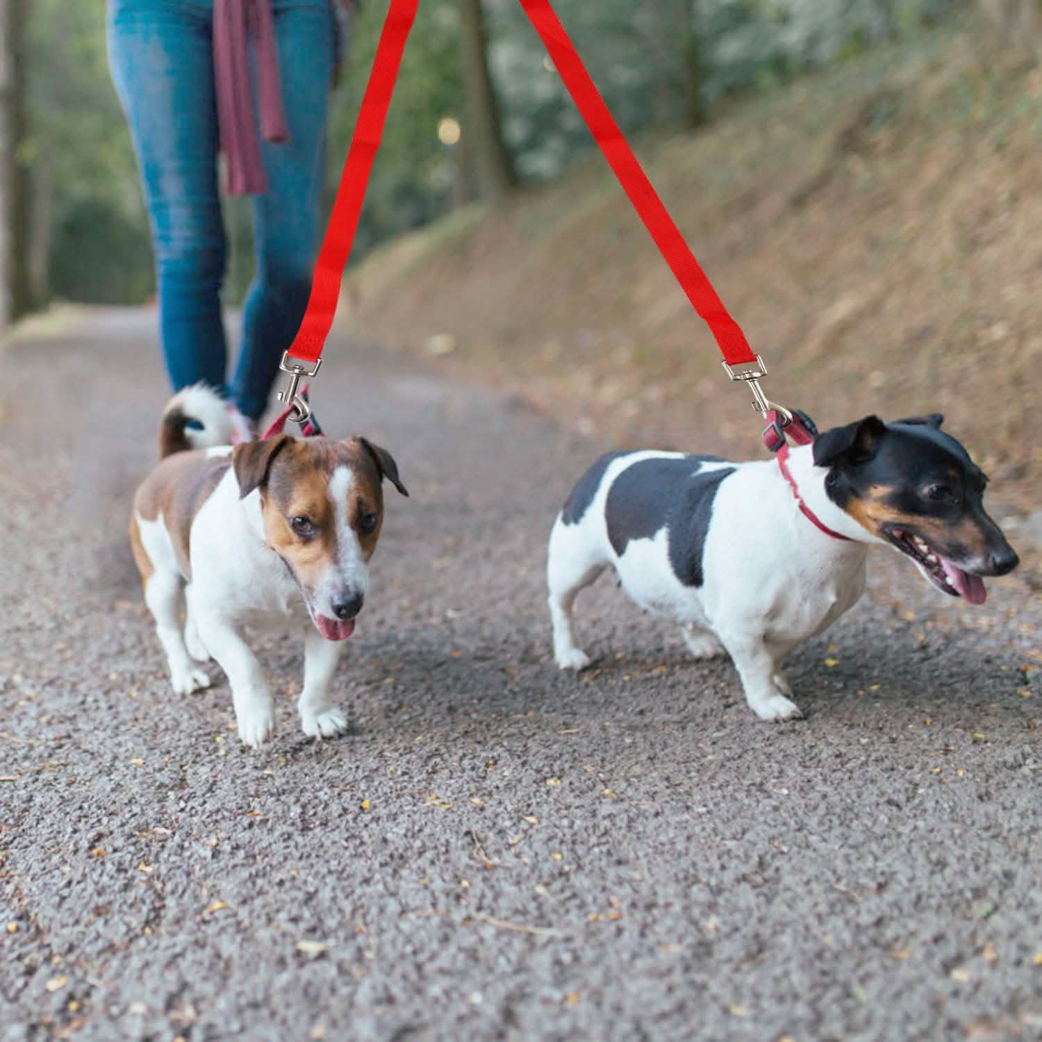 No-Tangle Dual Dogs Leash Pet Supplies - Tophatter Daily Deals