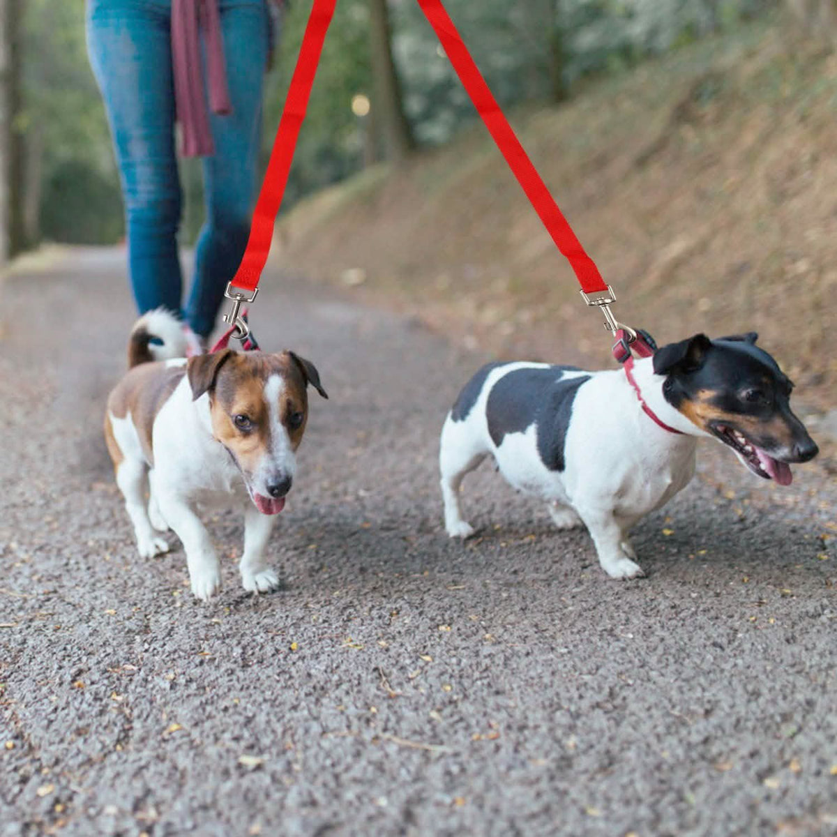 No-Tangle Dual Dogs Leash Pet Supplies - Tophatter Daily Deals