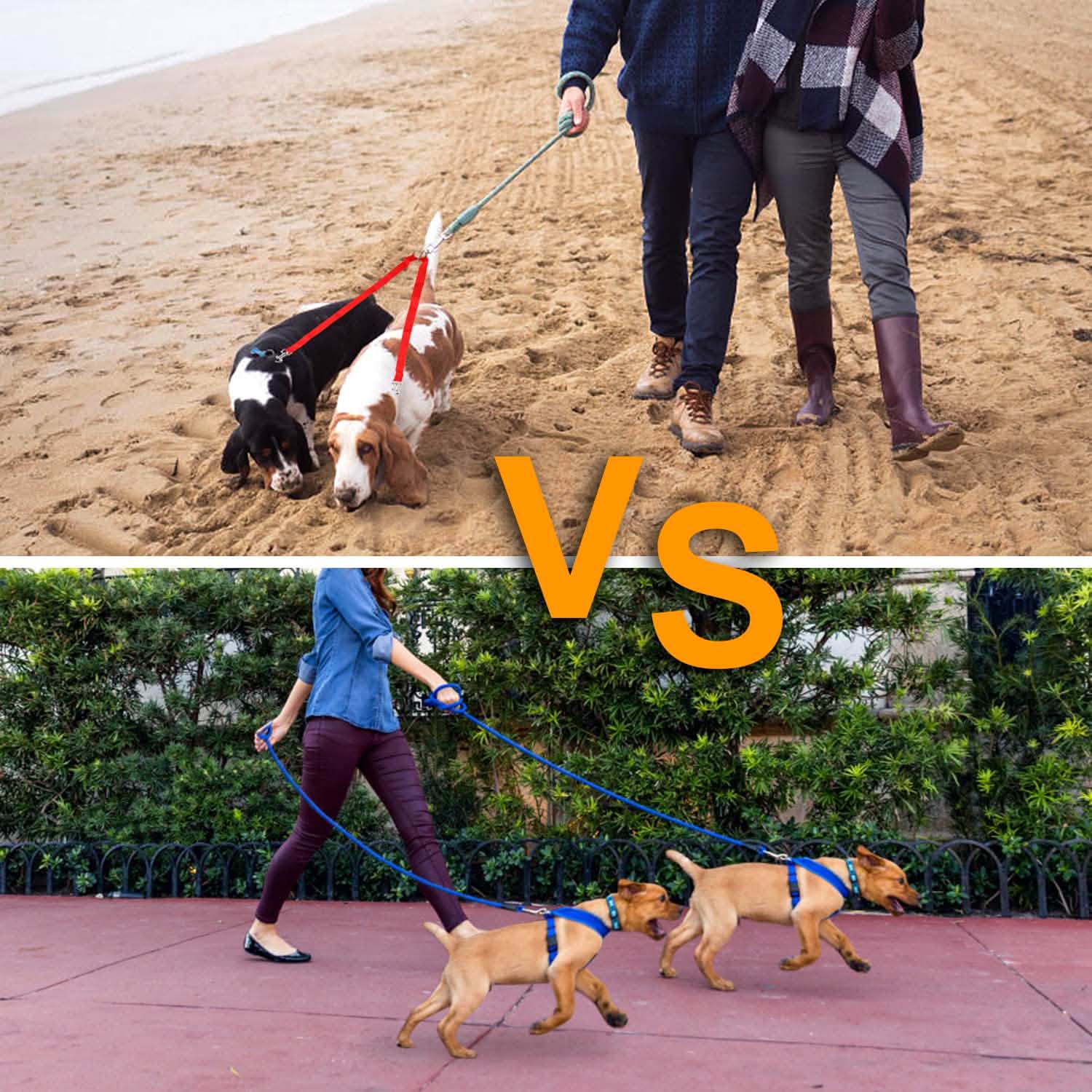 No-Tangle Dual Dogs Leash Pet Supplies - Tophatter Daily Deals