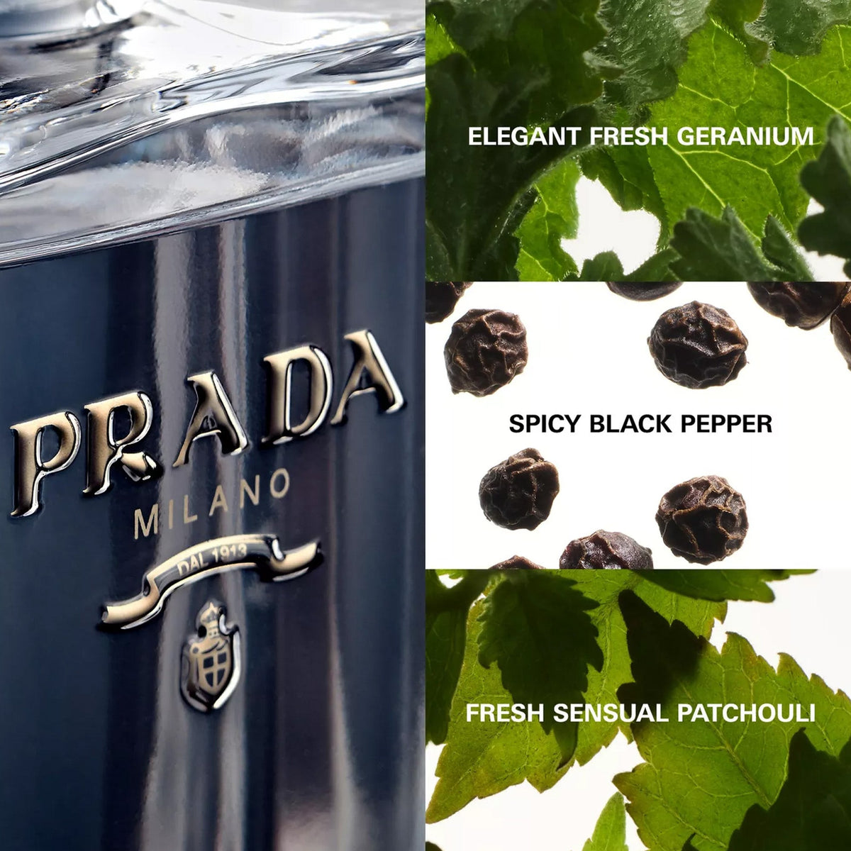 Prada L'Homme Eau De Toilette 50ml Spray - Tophatter Daily Deals