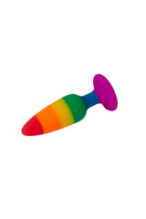 NS Novelties - Colours - Pride Edition - Pleasure Butt Plug - Assorted Sizes Sex Toy - Tophatter Daily Deals