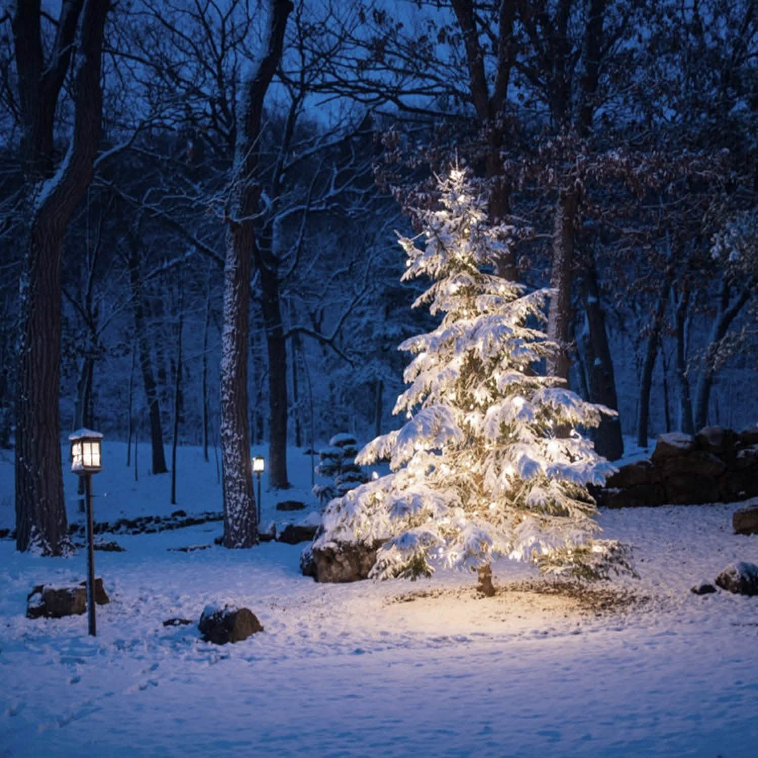 Outdoor Solar String Lights String & Fairy Lights - Tophatter Daily Deals