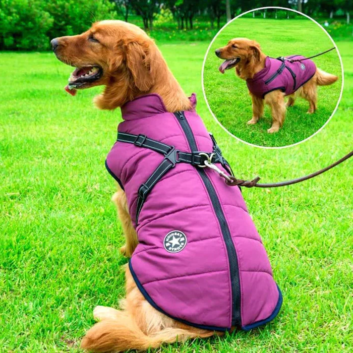 Waterproof Dog Jacket Sherpa Lined Built In Harness Purple - Tophatter Daily Deals