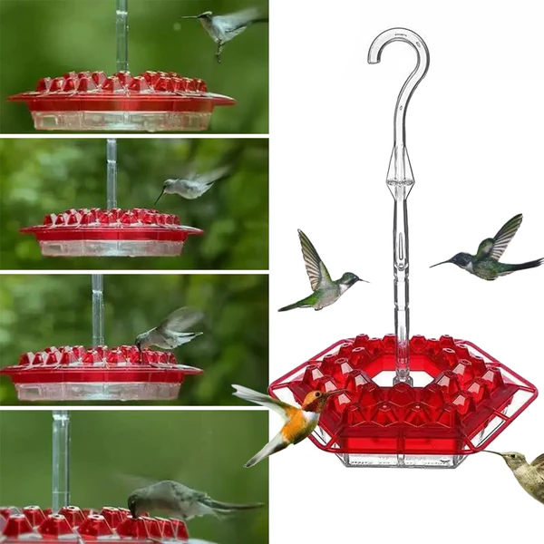 Ant Proof Hummingbird Feeder 30 Bee Resistant Ports - Tophatter Daily Deals