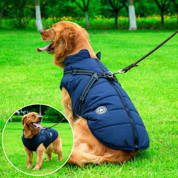 Waterproof Dog Jacket Sherpa Lined Built In Harness Blue - Tophatter Daily Deals