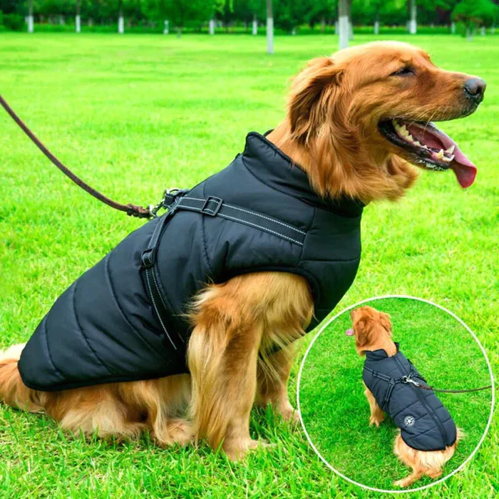 Waterproof Dog Jacket Sherpa Lined Built In Harness Black - Tophatter Daily Deals