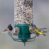 Squirrel Proof Bird Feeder Rotating Perch Fall 2025 - Tophatter Daily Deals