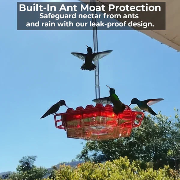 Ant Proof Hummingbird Feeder 30 Bee Resistant Ports - Tophatter Daily Deals