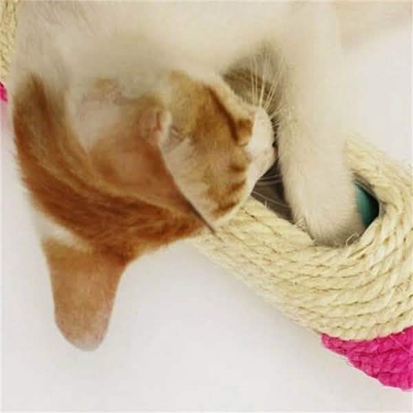 Pet Cat Rolling Sisal Scratching Post Trapped With 3 Ball Training Novely Toy Pet Supplies - Tophatter Daily Deals