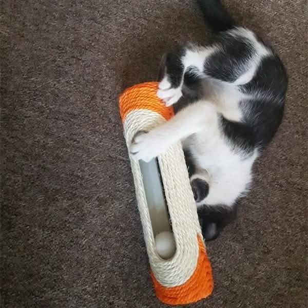 Pet Cat Rolling Sisal Scratching Post Trapped With 3 Ball Training Novely Toy Pet Supplies - Tophatter Daily Deals