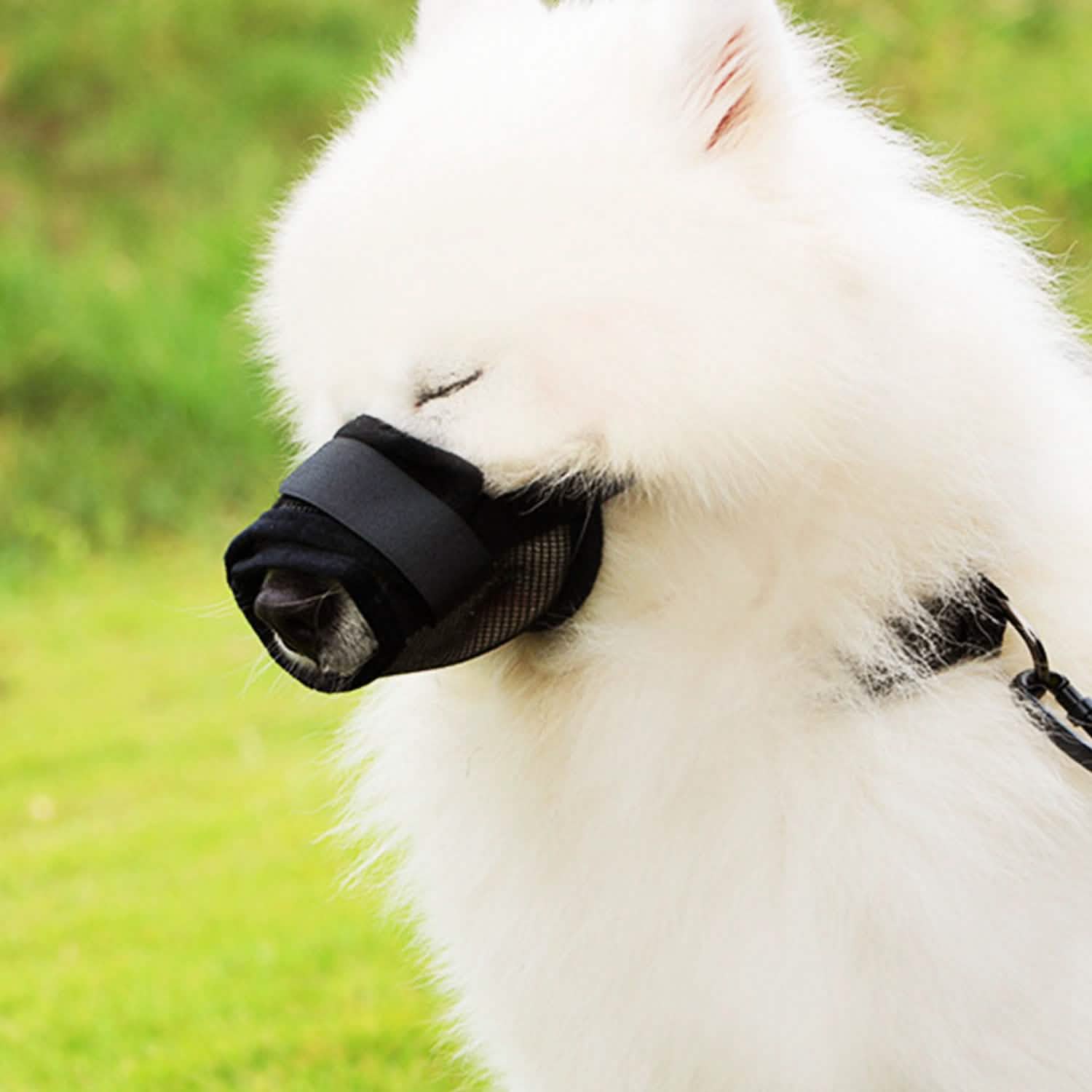 Pet Dog Muzzle Mask Adjustable Dog Mouth Cover Pet Supplies - Tophatter Daily Deals