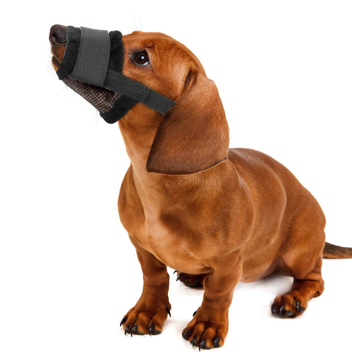 Pet Dog Muzzle Mask Adjustable Dog Mouth Cover Pet Supplies - Tophatter Daily Deals