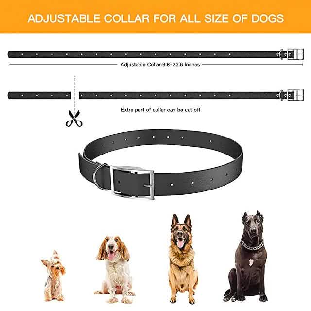 Pet Dog Shock Collar with Remote Pet Supplies - Tophatter Daily Deals