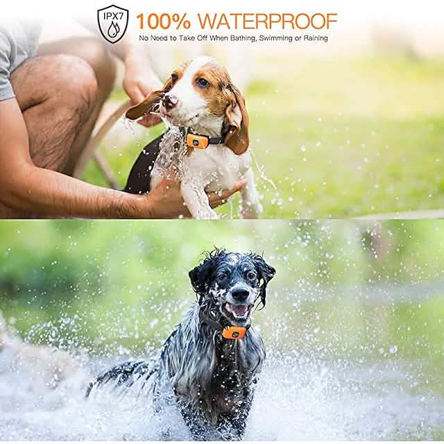 Pet Dog Shock Collar with Remote Pet Supplies - Tophatter Daily Deals