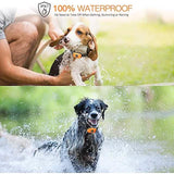 Pet Dog Shock Collar with Remote Pet Supplies - Tophatter Daily Deals