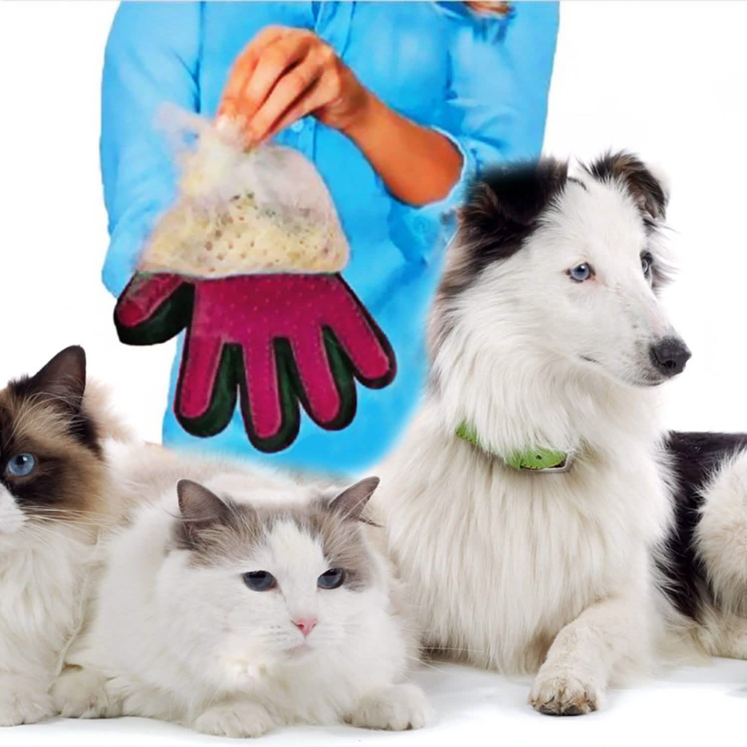 Pet Grooming Glove Pet Supplies - Tophatter Daily Deals