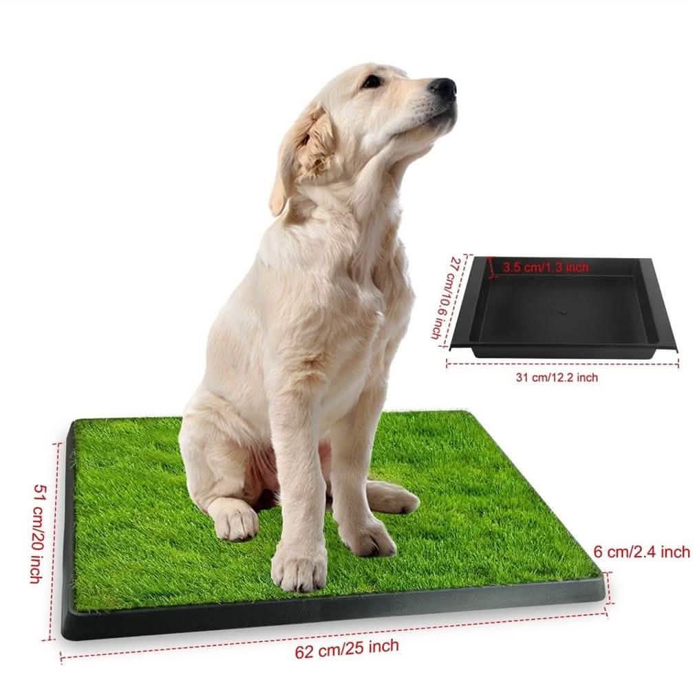 Pet Loo Portable Indoor/Outdoor Pet Potty Pet Supplies - Tophatter Daily Deals