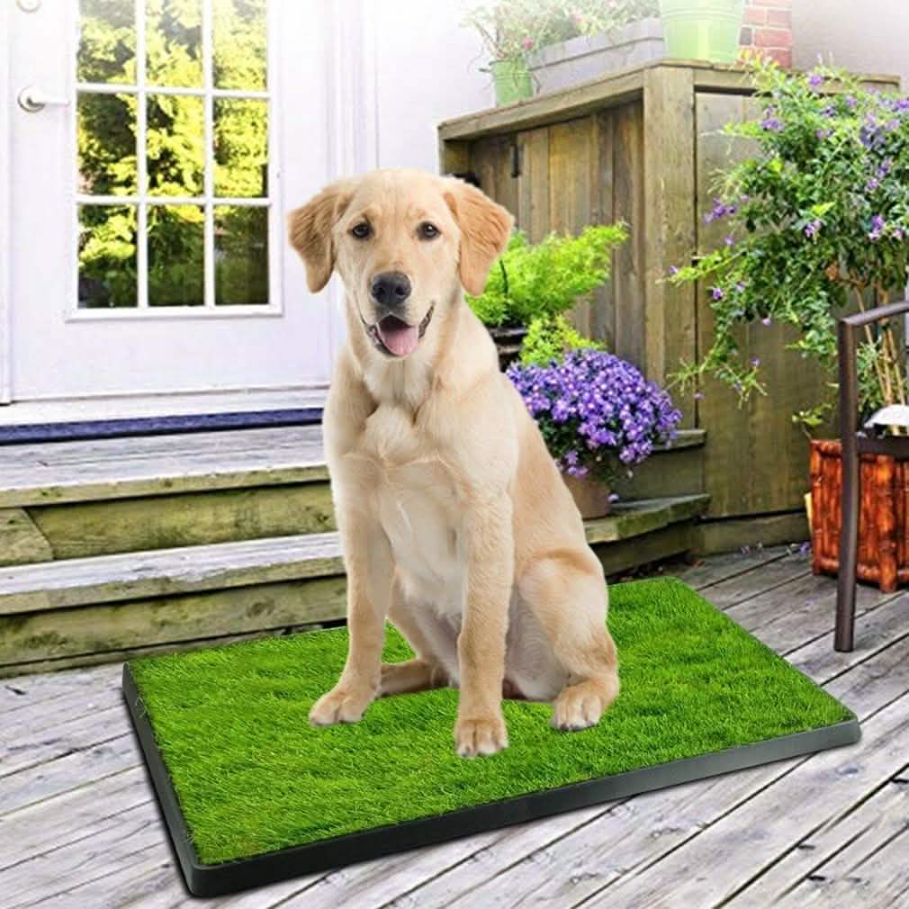 Pet Loo Portable Indoor/Outdoor Pet Potty Pet Supplies - Tophatter Daily Deals