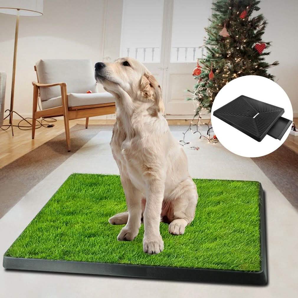 Pet Loo Portable Indoor/Outdoor Pet Potty Pet Supplies - Tophatter Daily Deals
