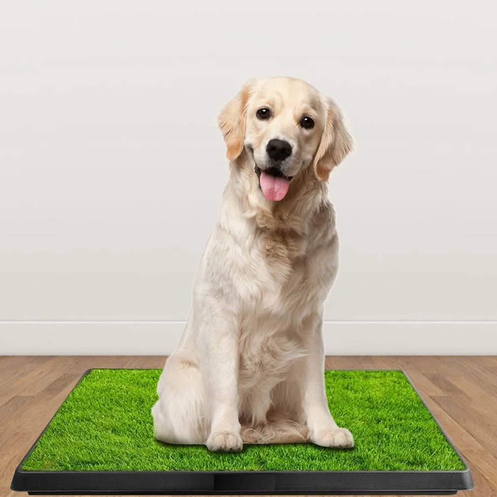 Pet Loo Portable Indoor/Outdoor Pet Potty Pet Supplies - Tophatter Daily Deals