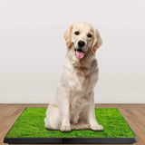 Pet Loo Portable Indoor/Outdoor Pet Potty Pet Supplies - Tophatter Daily Deals