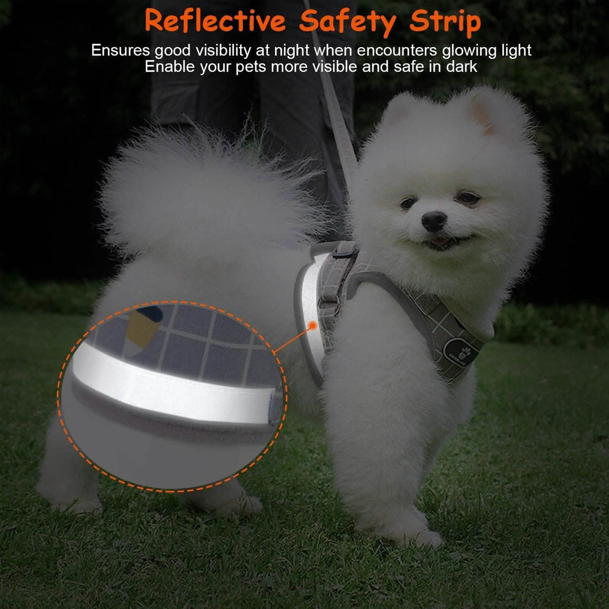 Pet Mesh Harness Dog Leash Puppy Vest Pet Leashes & Harnesses - Tophatter Daily Deals