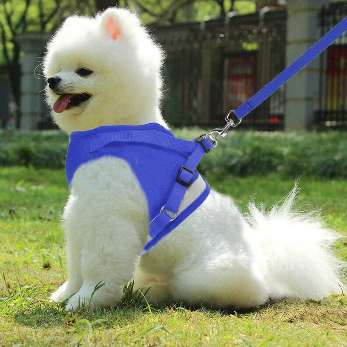 Pet Mesh Harness Dog Leash Puppy Vest Pet Leashes & Harnesses - Tophatter Daily Deals