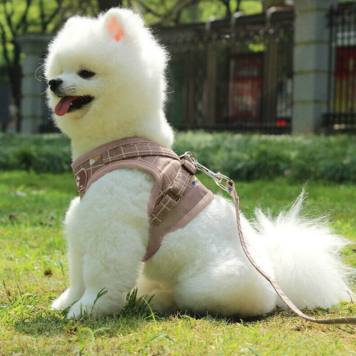 Pet Mesh Harness Dog Leash Puppy Vest Pet Supplies - Tophatter Daily Deals