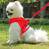 Pet Mesh Harness Dog Leash Puppy Vest Pet Leashes & Harnesses - Tophatter Daily Deals