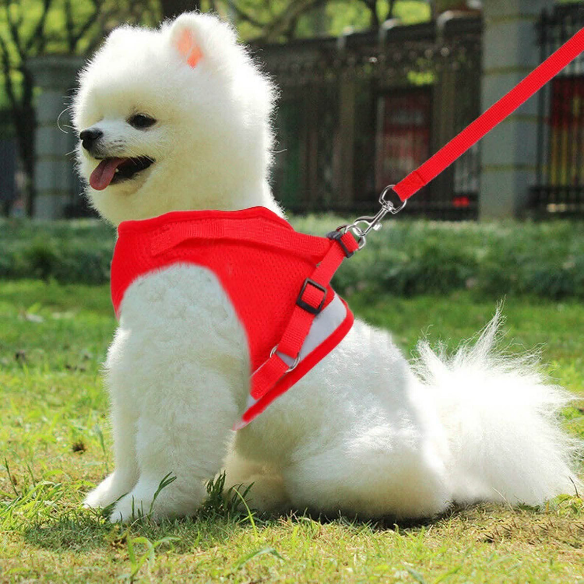 Pet Mesh Harness Dog Leash Puppy Vest Pet Leashes & Harnesses - Tophatter Daily Deals