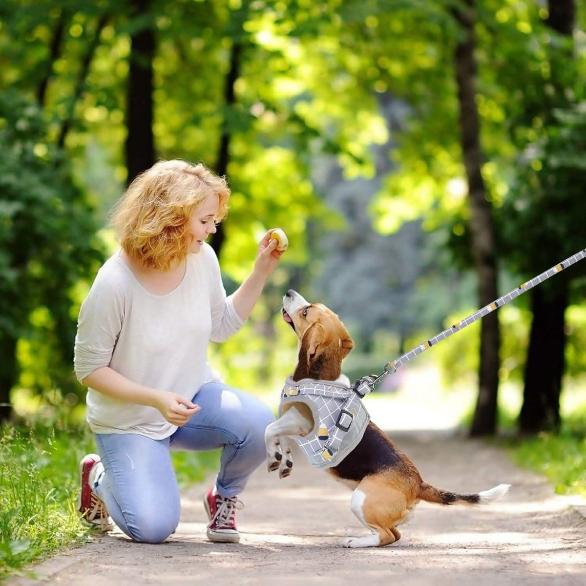 Pet Mesh Harness Dog Leash Puppy Vest Pet Leashes & Harnesses - Tophatter Daily Deals