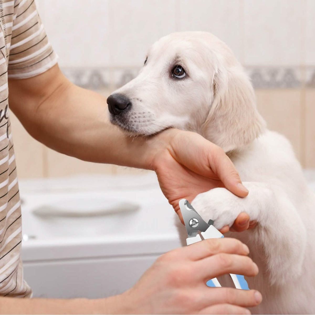 Pet Nail Toe Stainless Steel Trimmer with Nail File Pet Supplies - Tophatter Daily Deals