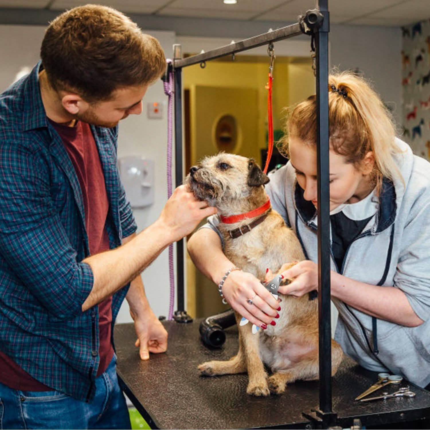 Pet Nail Toe Stainless Steel Trimmer with Nail File Pet Supplies - Tophatter Daily Deals