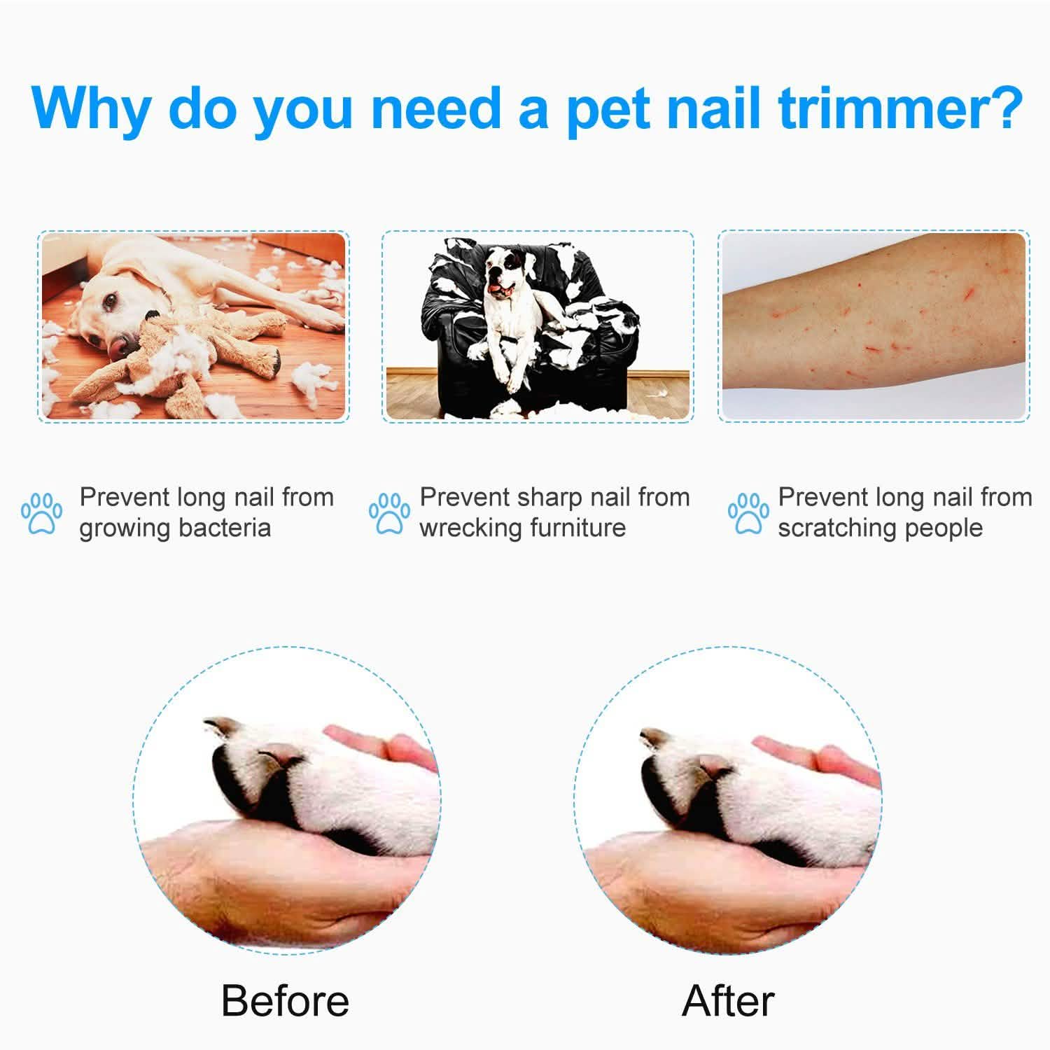 Pet Nail Toe Stainless Steel Trimmer with Nail File Pet Supplies - Tophatter Daily Deals