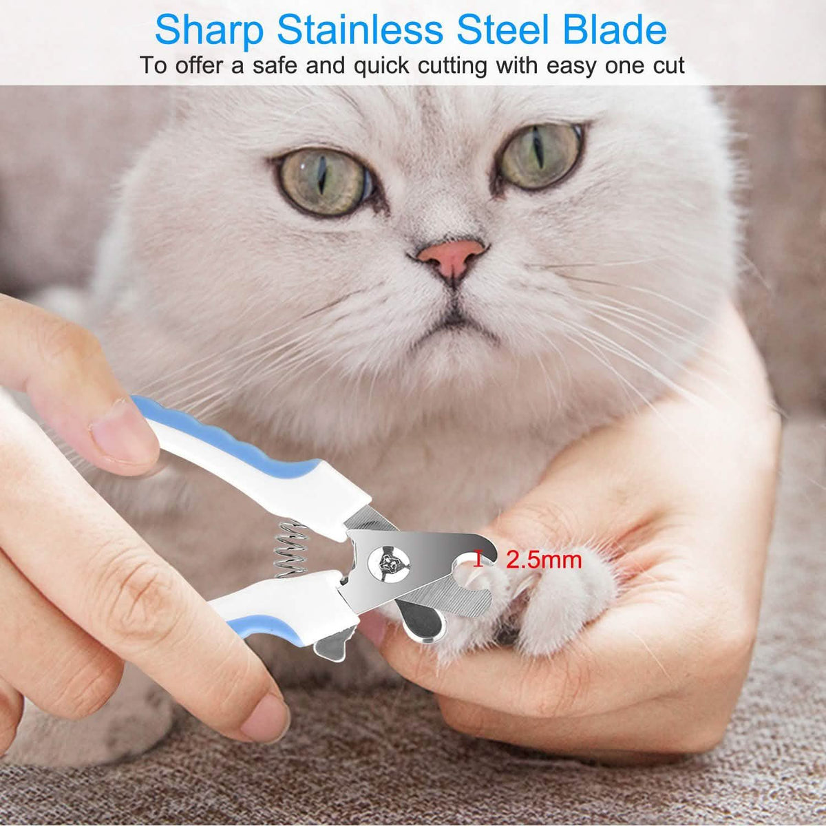 Pet Nail Toe Stainless Steel Trimmer with Nail File Pet Supplies - Tophatter Daily Deals