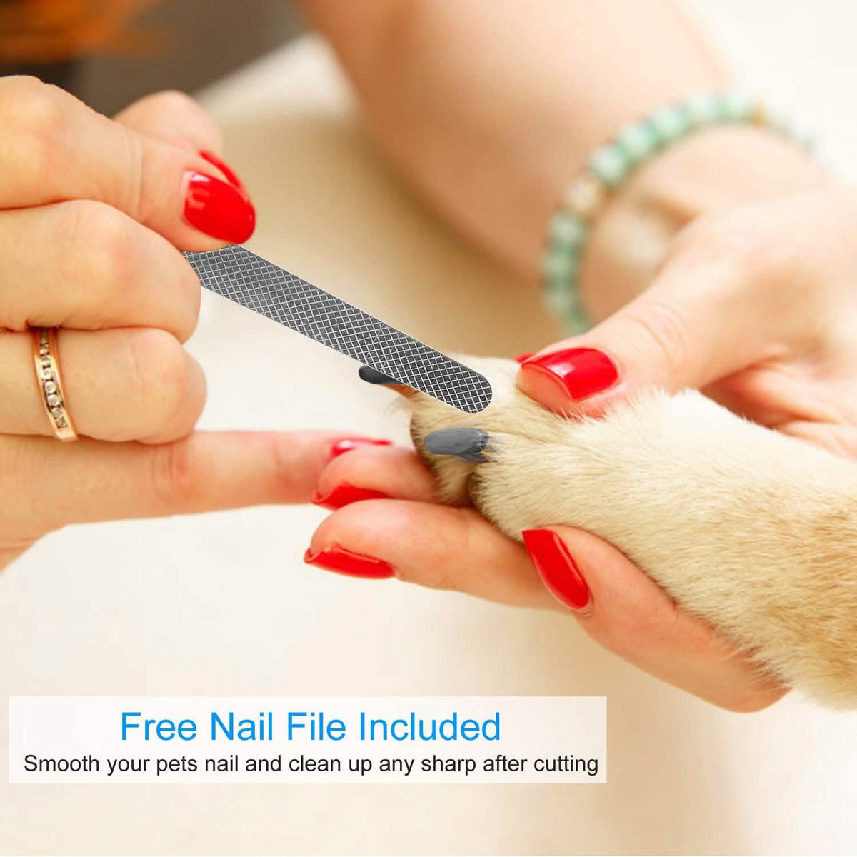 Pet Nail Toe Stainless Steel Trimmer with Nail File Pet Supplies - Tophatter Daily Deals