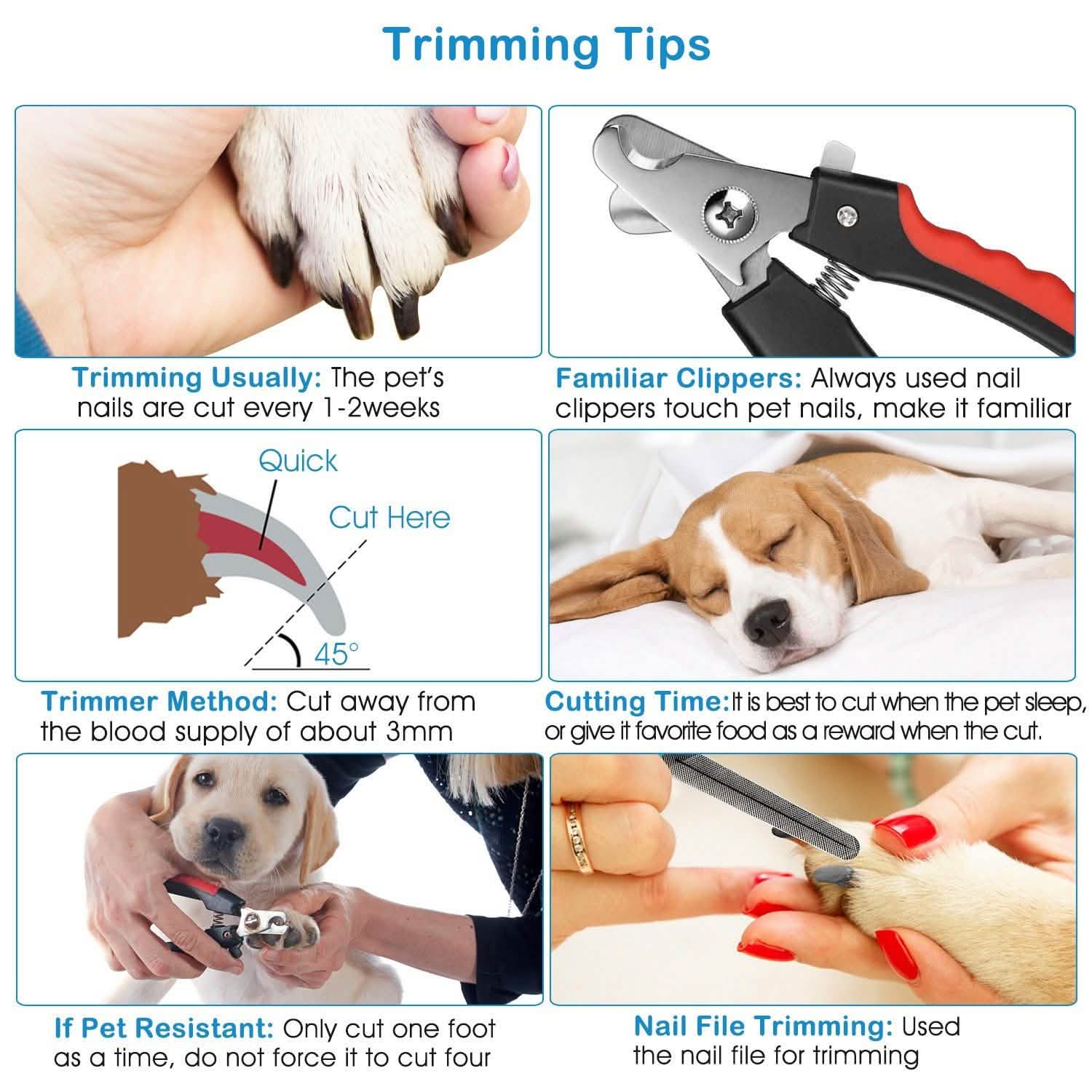 Pet Nail Trimmer with Safety Guard to Avoid Over-Cutting Nails Pet Supplies - Tophatter Daily Deals
