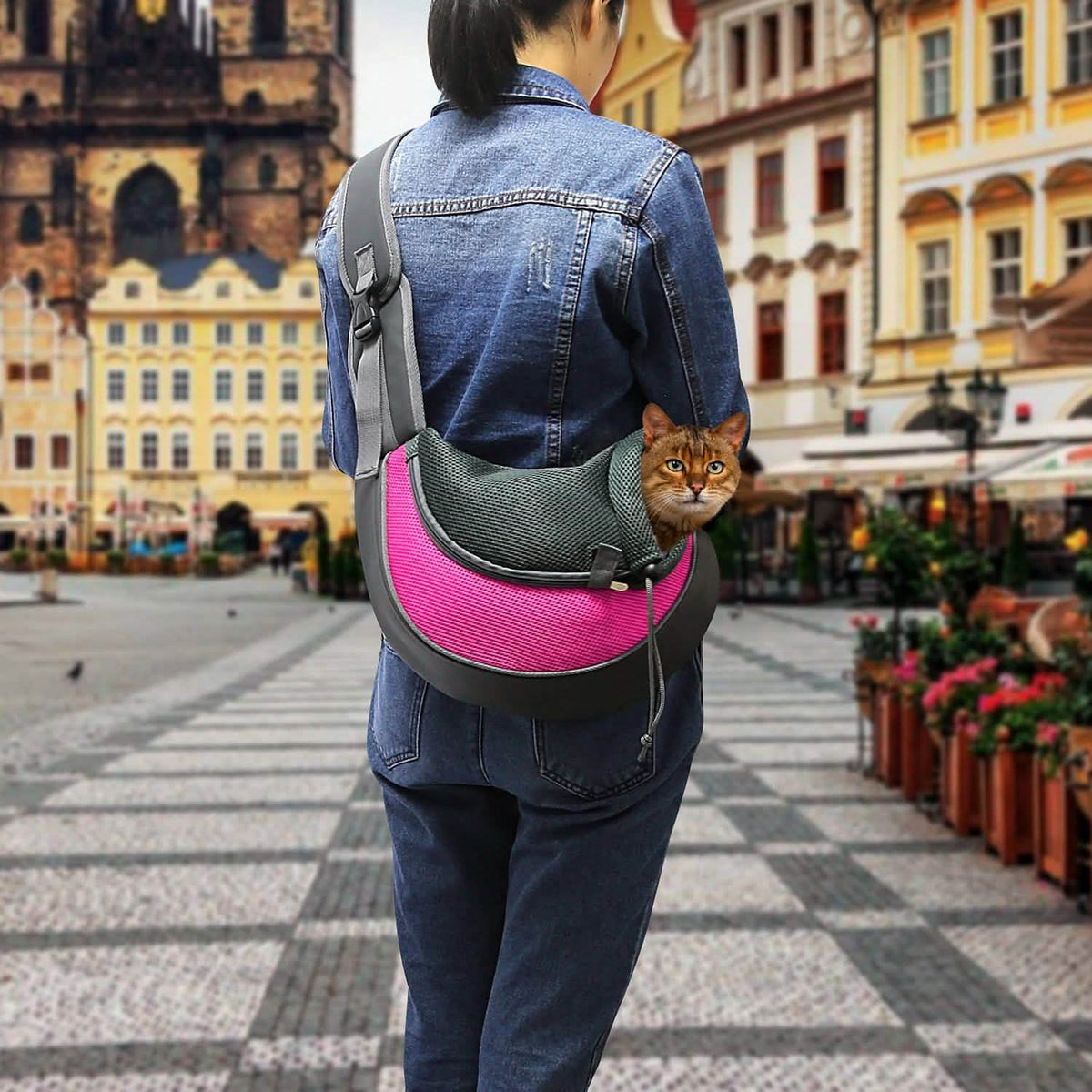 Pet Puppy Carrier Pet Supplies - Tophatter Daily Deals
