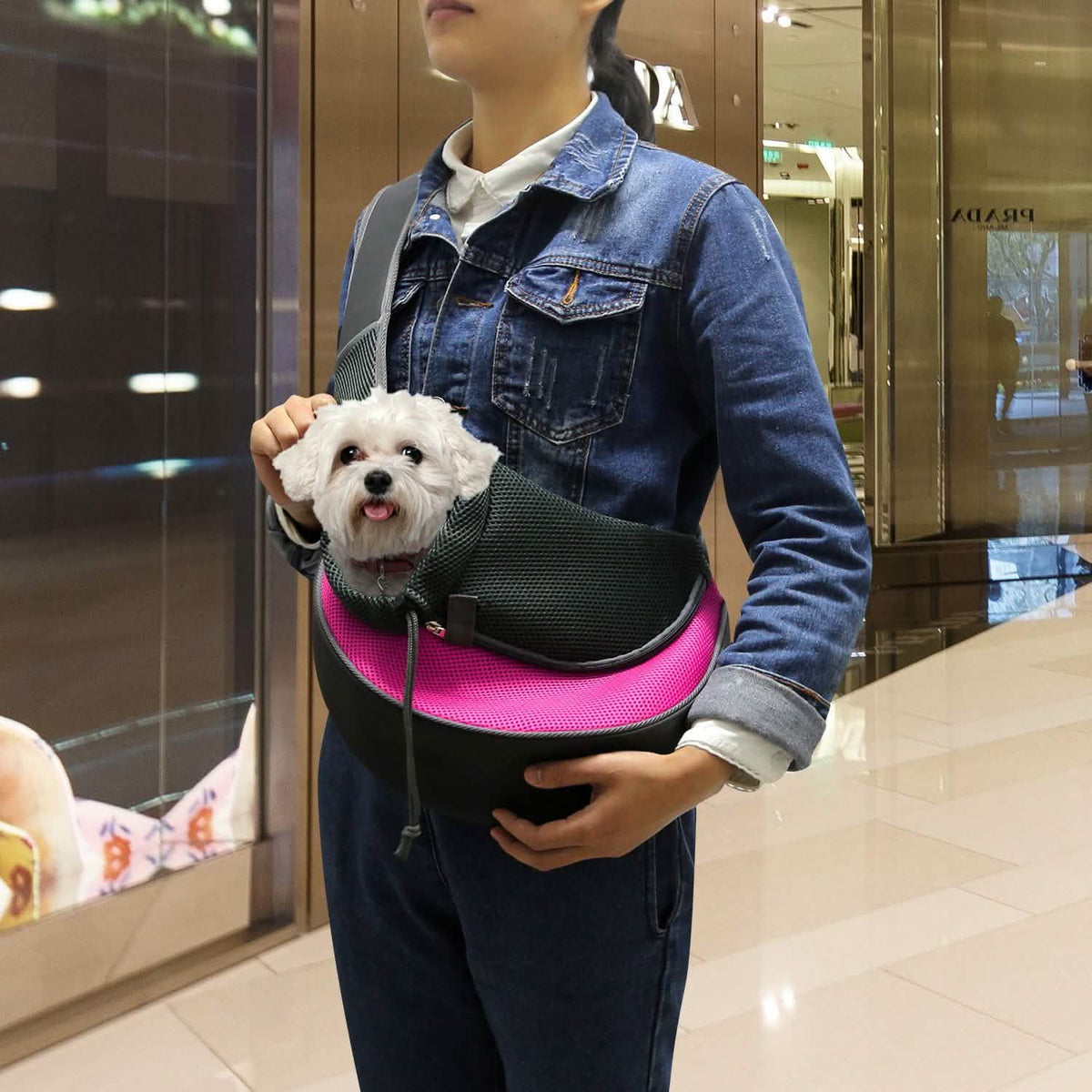 Pet Puppy Carrier Pet Supplies - Tophatter Daily Deals