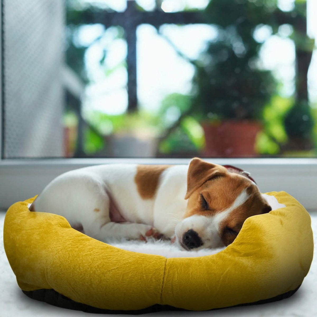 Pet Puppy Cat Soft Warm Fleece Bed Pet Supplies - Tophatter Daily Deals