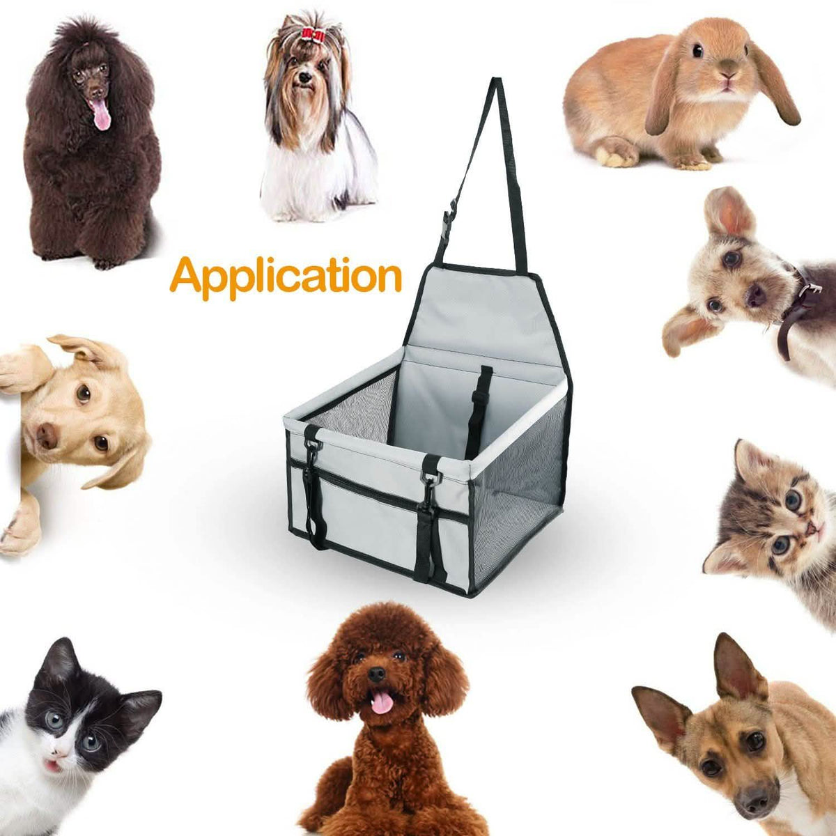 Pet Travel Carrier with Clip-On Safety Leash Zipper Storage Pocket for Pets up to 20lbs Pet Leashes & Harnesses - Tophatter Daily Deals