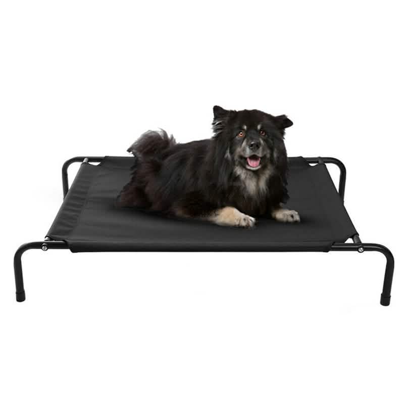 Cats and Dogs Elevated Pet Bed M Pet Supplies - Tophatter Daily Deals