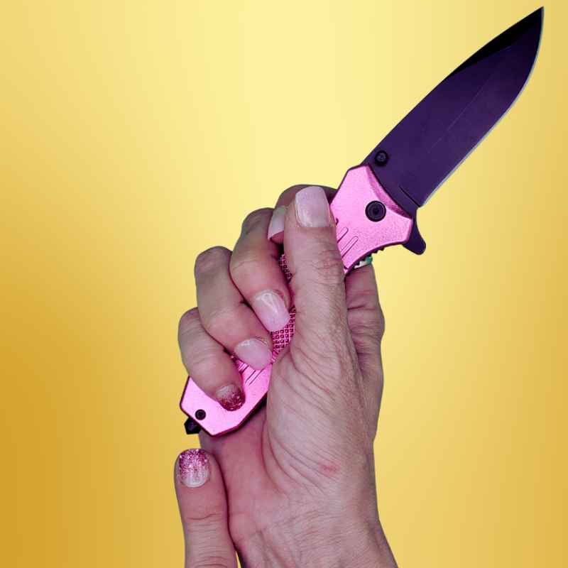 Pink Seatbelt Cutter & Glass Break Survival Drop Point Blade Knife Knives & Knuckles - Tophatter Daily Deals