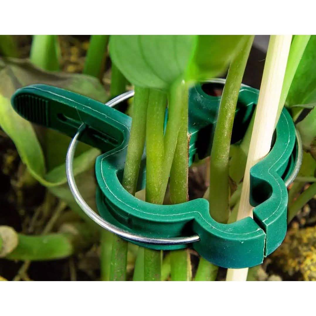 Plant Support Clips for Garden Vine to Grow Upright Garden & Patio - Tophatter Daily Deals
