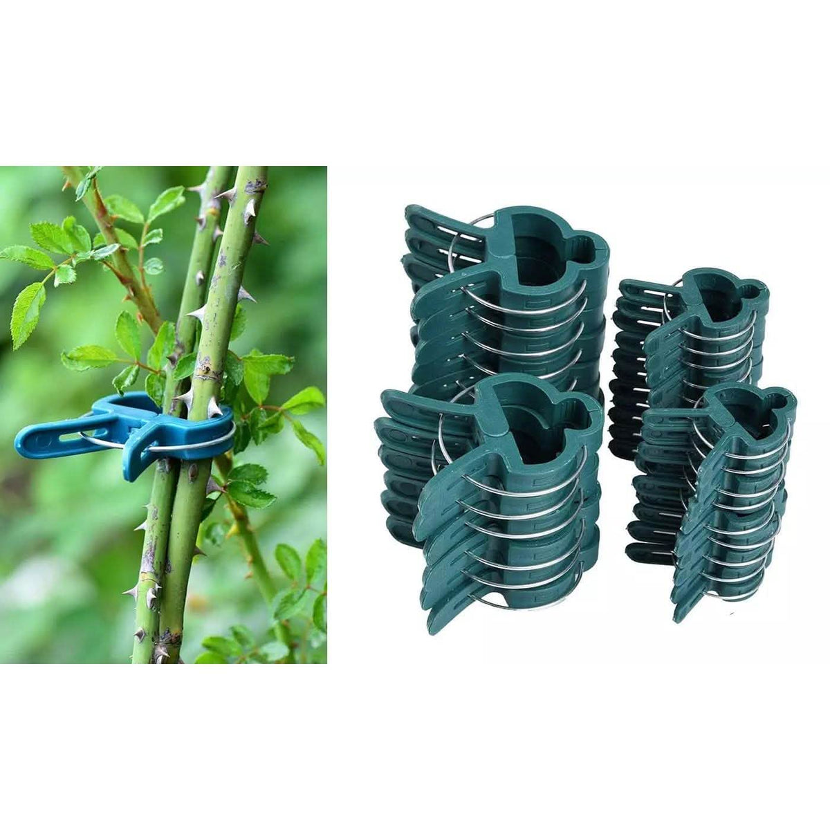 Plant Support Clips for Garden Vine to Grow Upright Garden & Patio - Tophatter Daily Deals