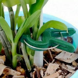 Plant Support Clips for Garden Vine to Grow Upright Garden & Patio - Tophatter Daily Deals