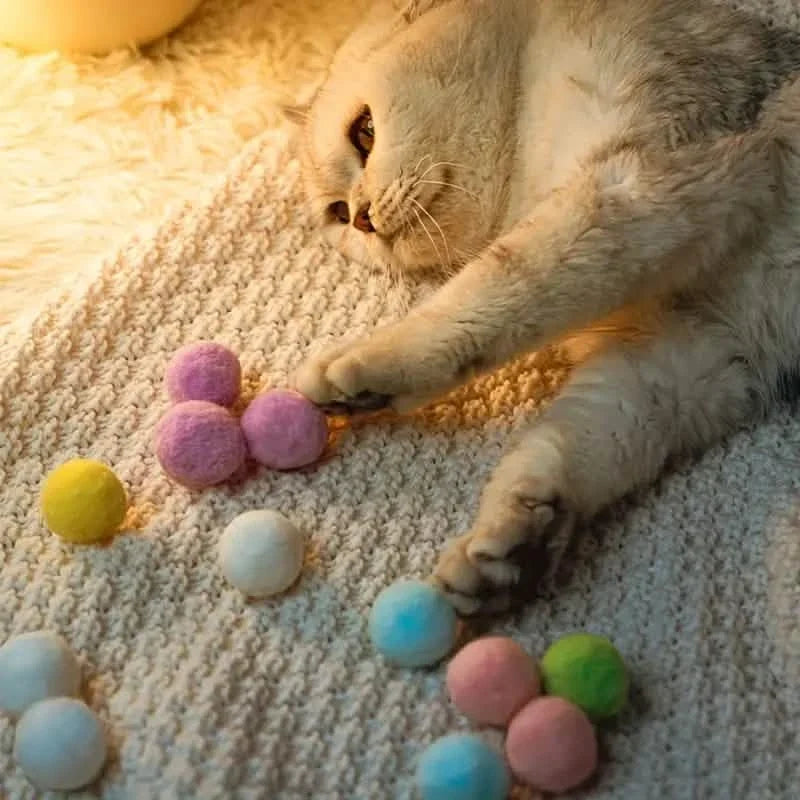 Plush Ball Shooting Gun Pet Supplies - Tophatter Daily Deals