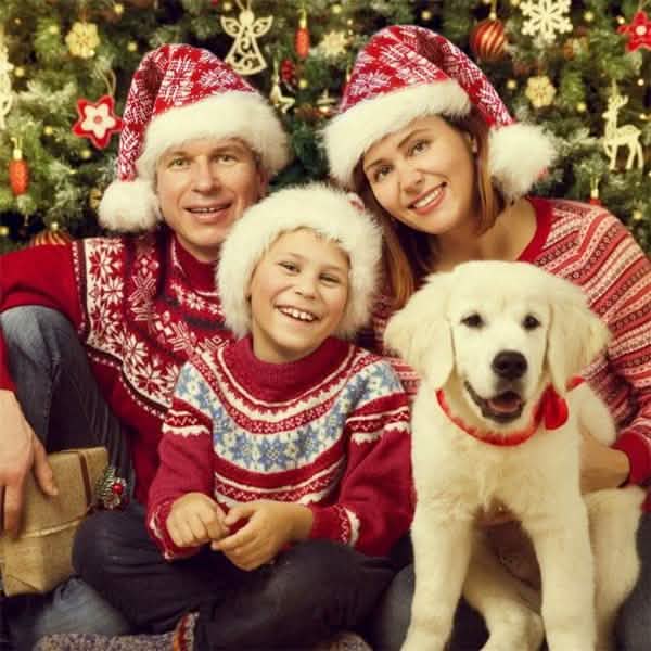 Plush Knitted Christmas Hat Seasonal Decor - Tophatter Daily Deals