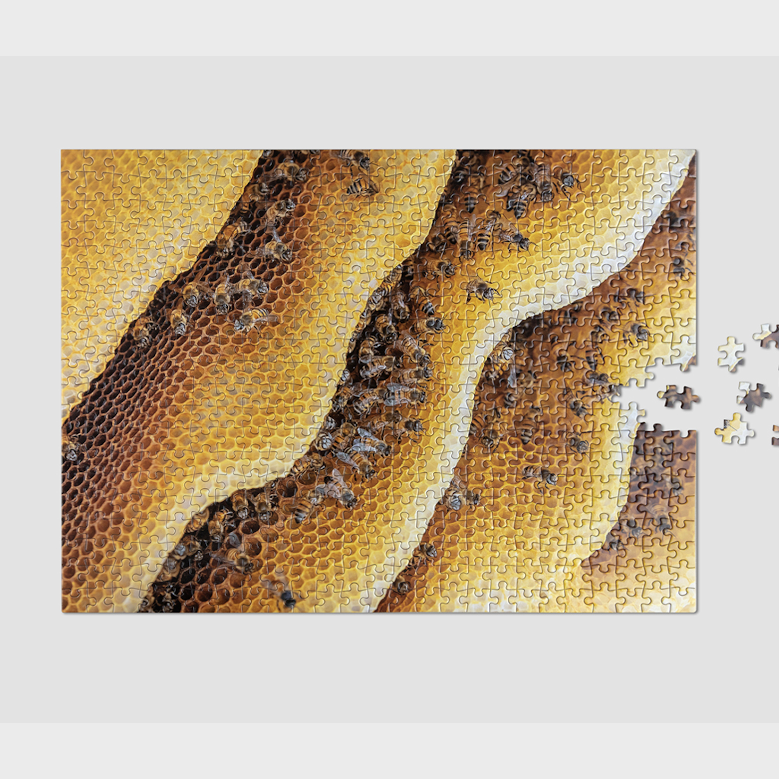 Puzzle - Wildlife Pattern, Bee (500 pieces) - Tophatter Daily Deals