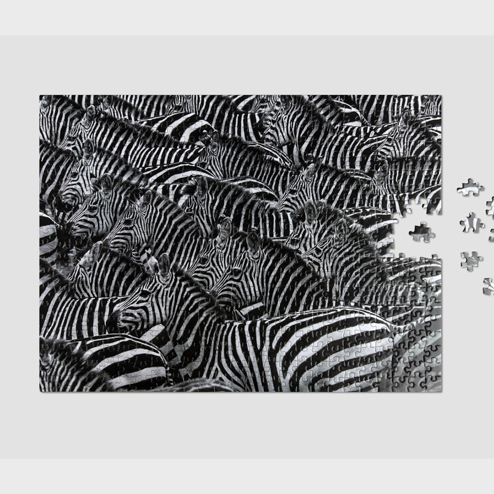 Puzzle - Wildlife Pattern, Zebra (500 pieces) - Tophatter Daily Deals